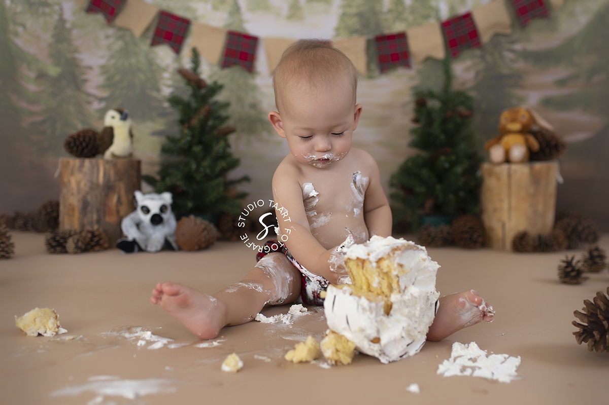 lumberjack cake smash studio taart pinewood heidi hope-christmas